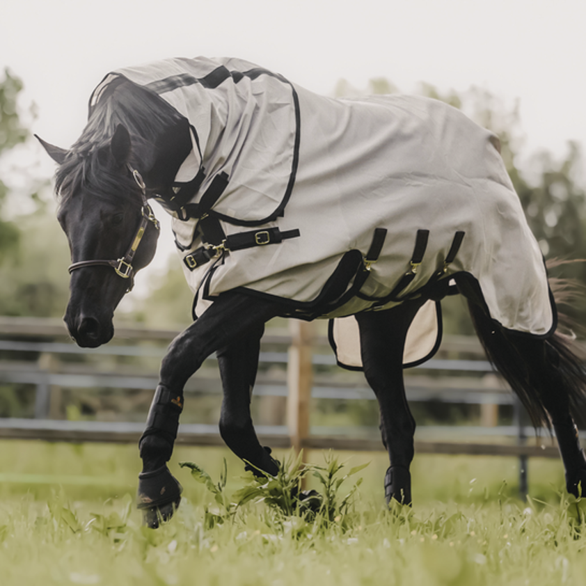 Beige Kentucky Fly Rug