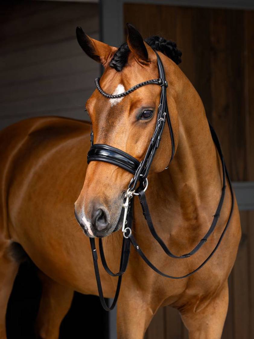 Black LeMieux Kudos Double Bridle