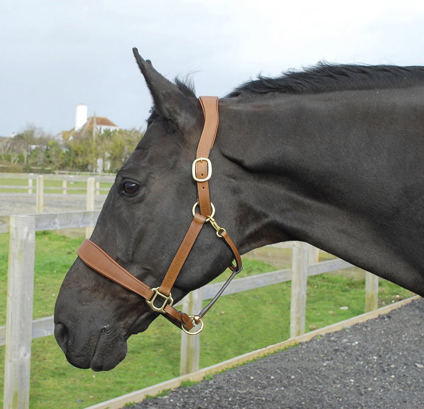 Tan Rhinegold Pro Anatomic Headcollar