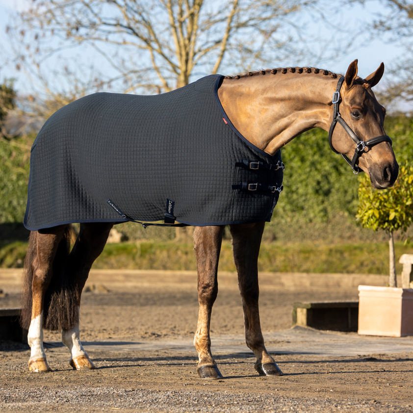 Navy Arika Clima-Tek Rug