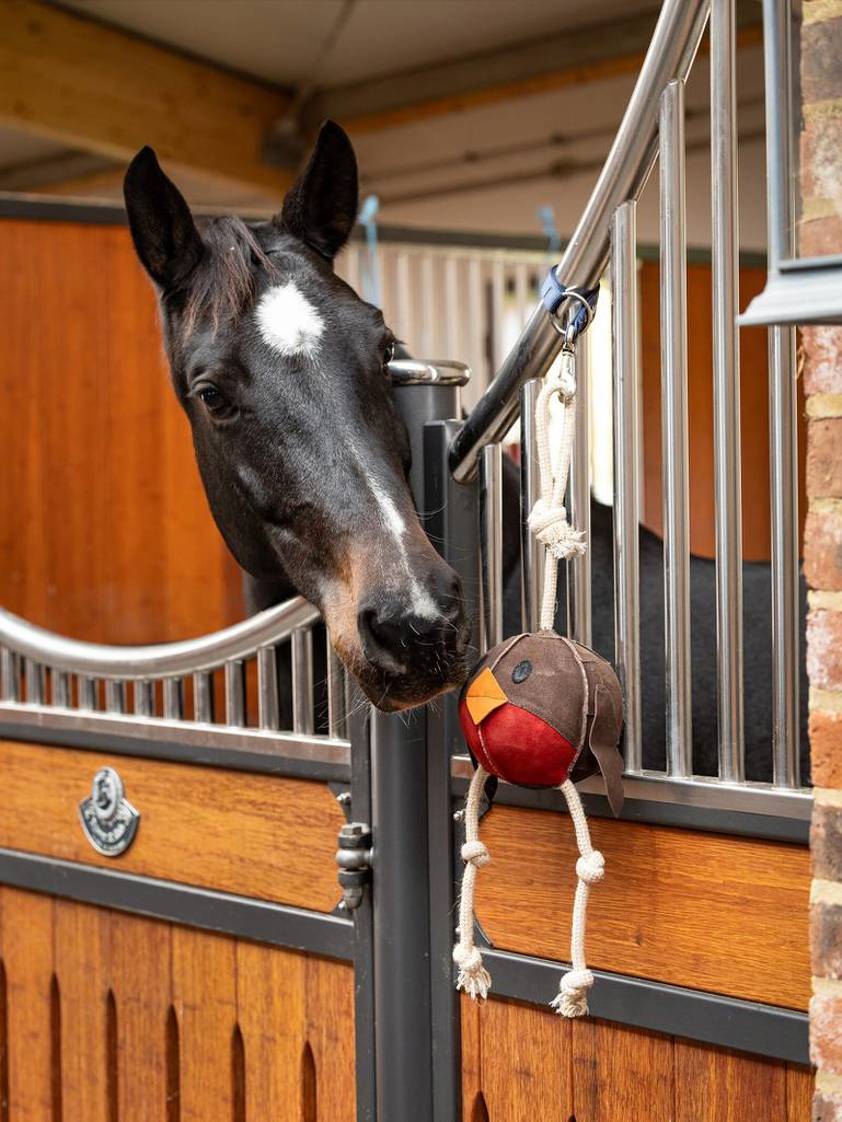 Robin LeMieux Horse Toy