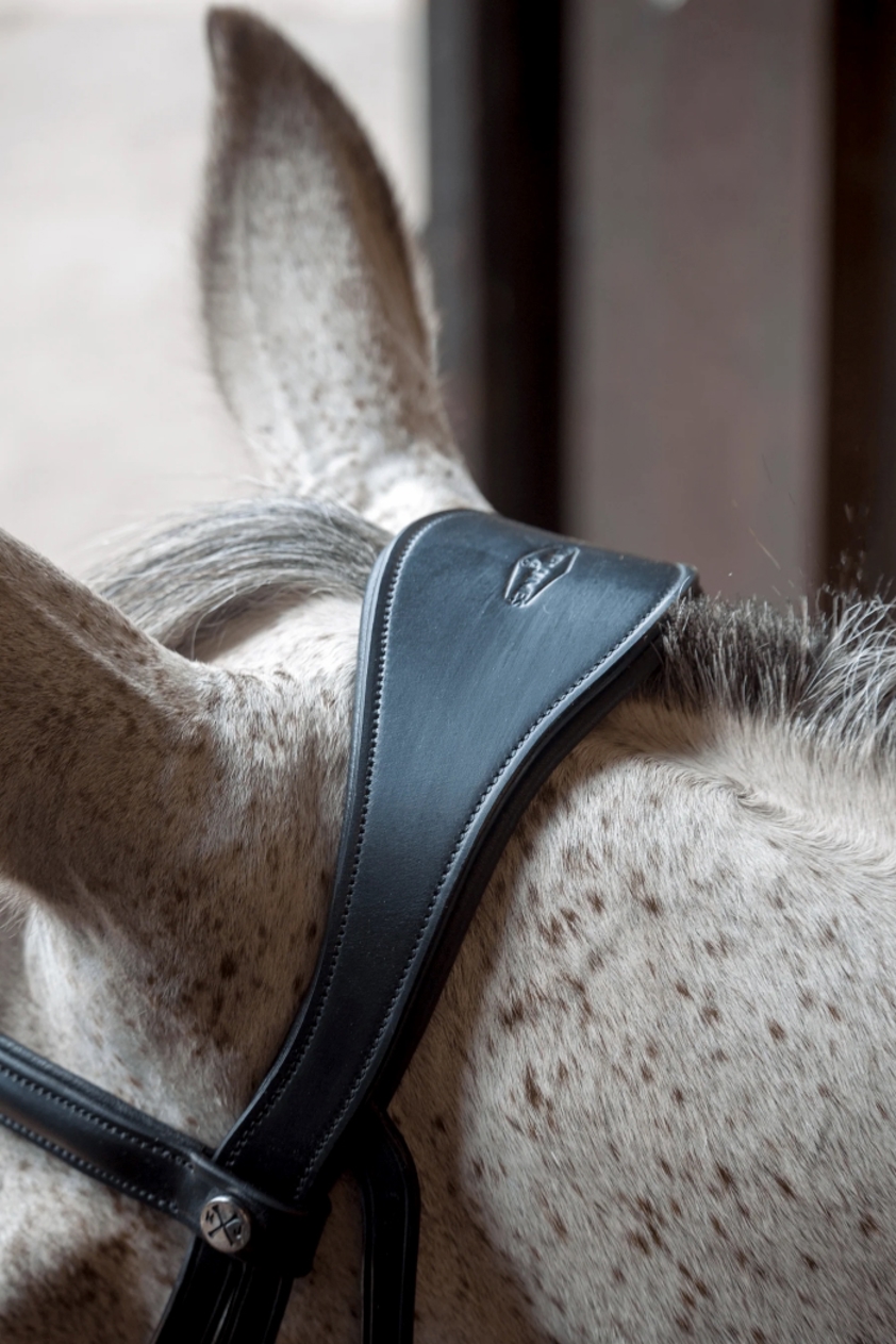 Black Henry James Cavesson Bridle With Flexure Curve Headpiece