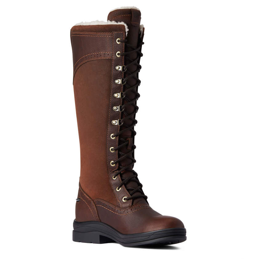 Dark Brown Ariat Wythburn Tall Waterproof Boot