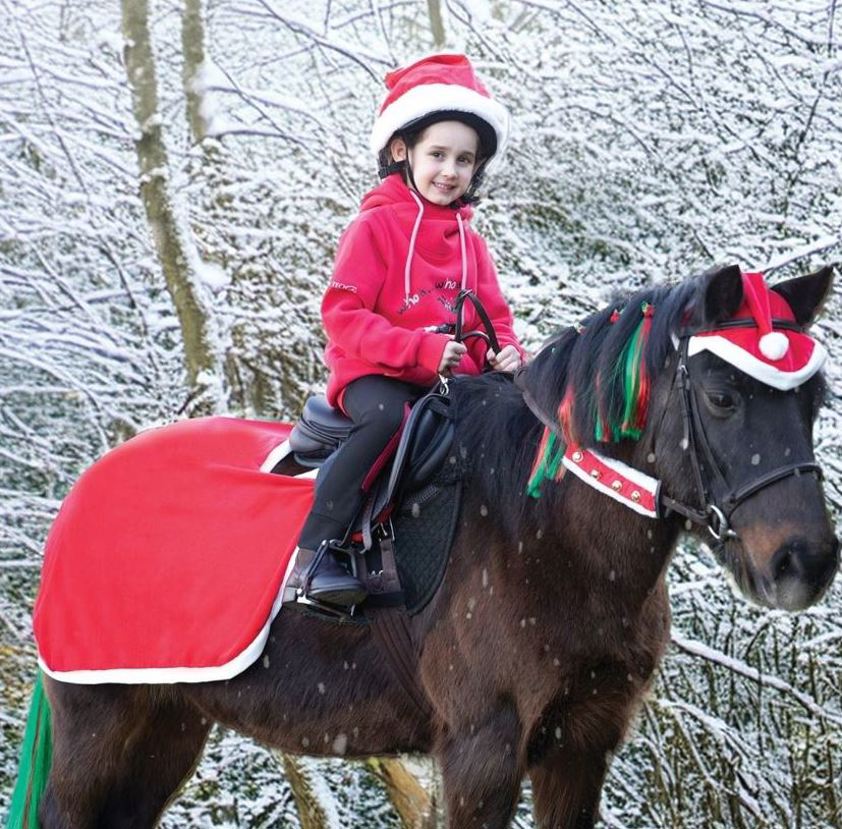 Red  Equetech Santa Festive Horse Quarter Sheet
