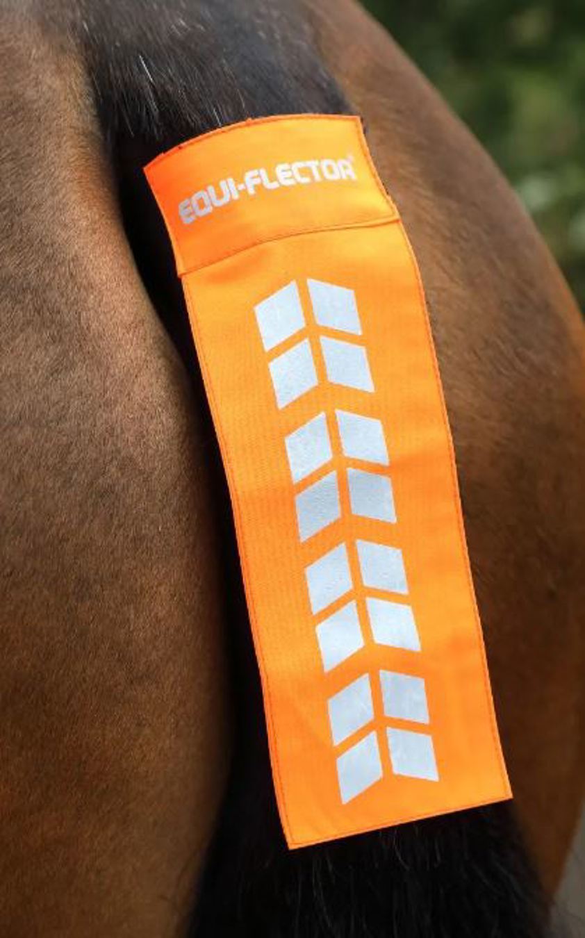 Orange Equi-Flector Tail Strap