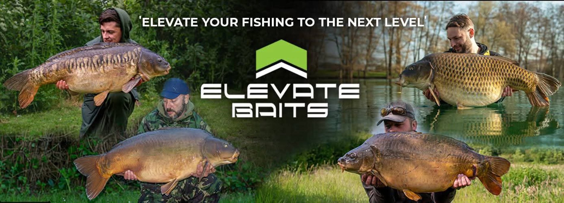Elevate Baits