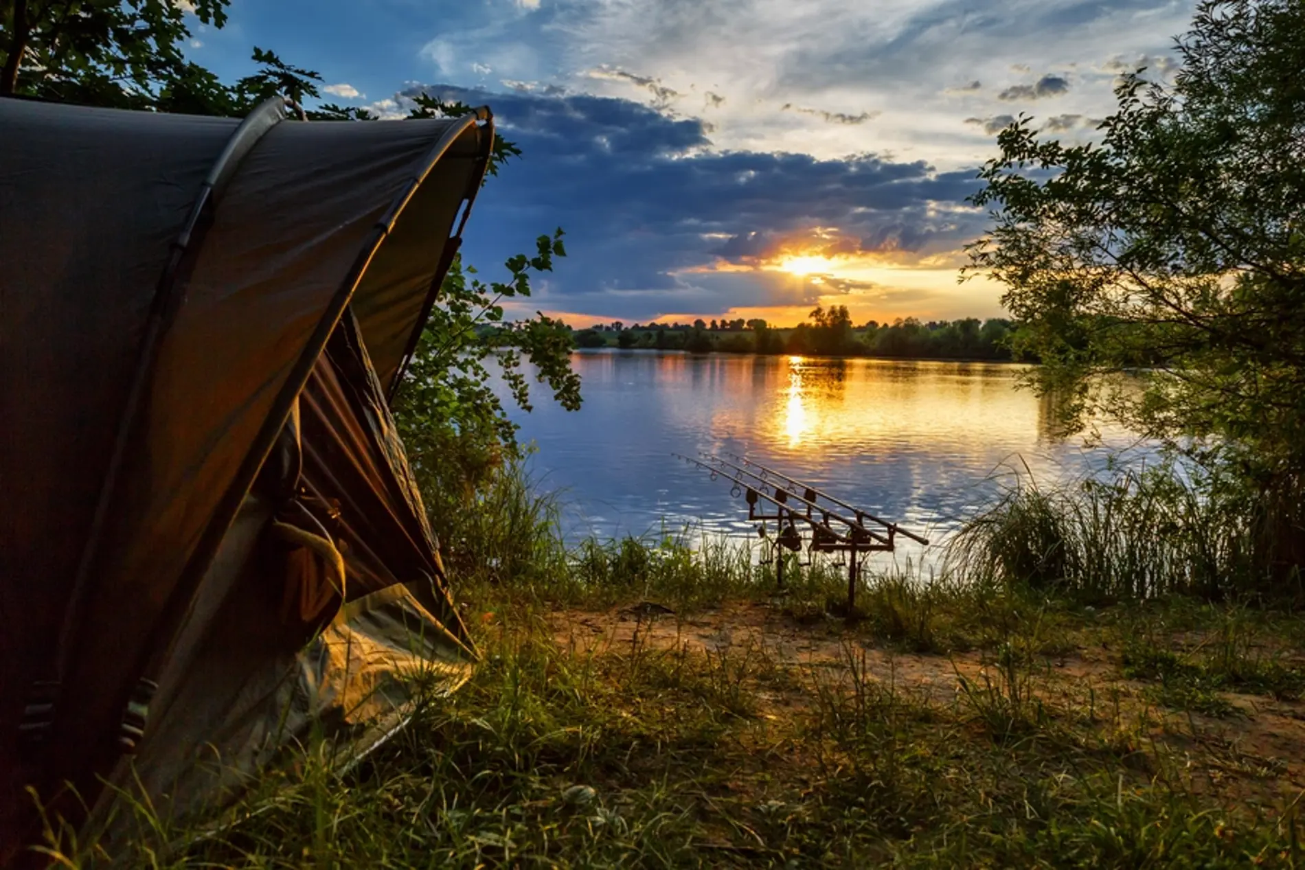 All Carp Fishing