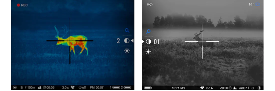 Night Vision & Thermal