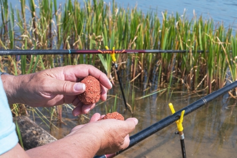 How to Choose the Right Bait & Tackle for Your Next Trip