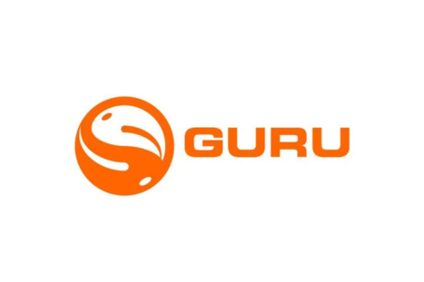 guru