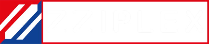 Zziplex