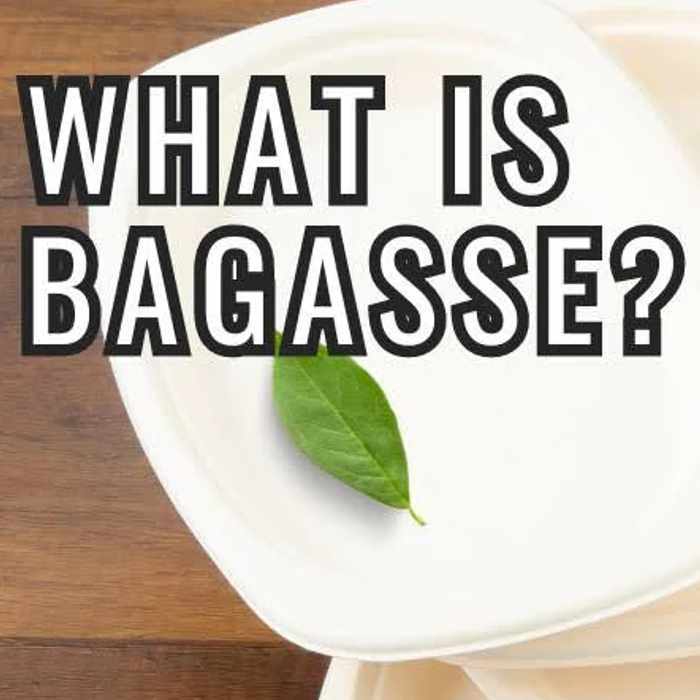 What is Bagasse? 8 Eco Benefits of Bagasse Packaging