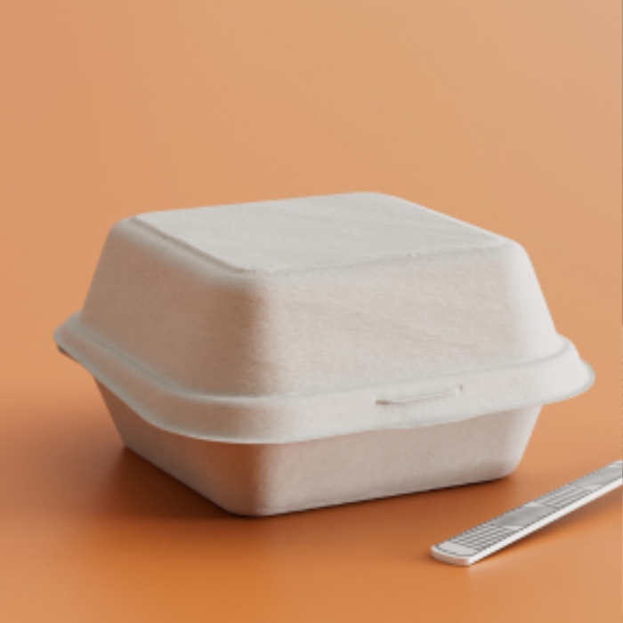 Bagasse Meal Boxes & Trays