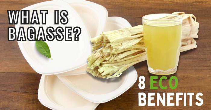 What is Bagasse? 8 Eco Benefits of Bagasse Packaging