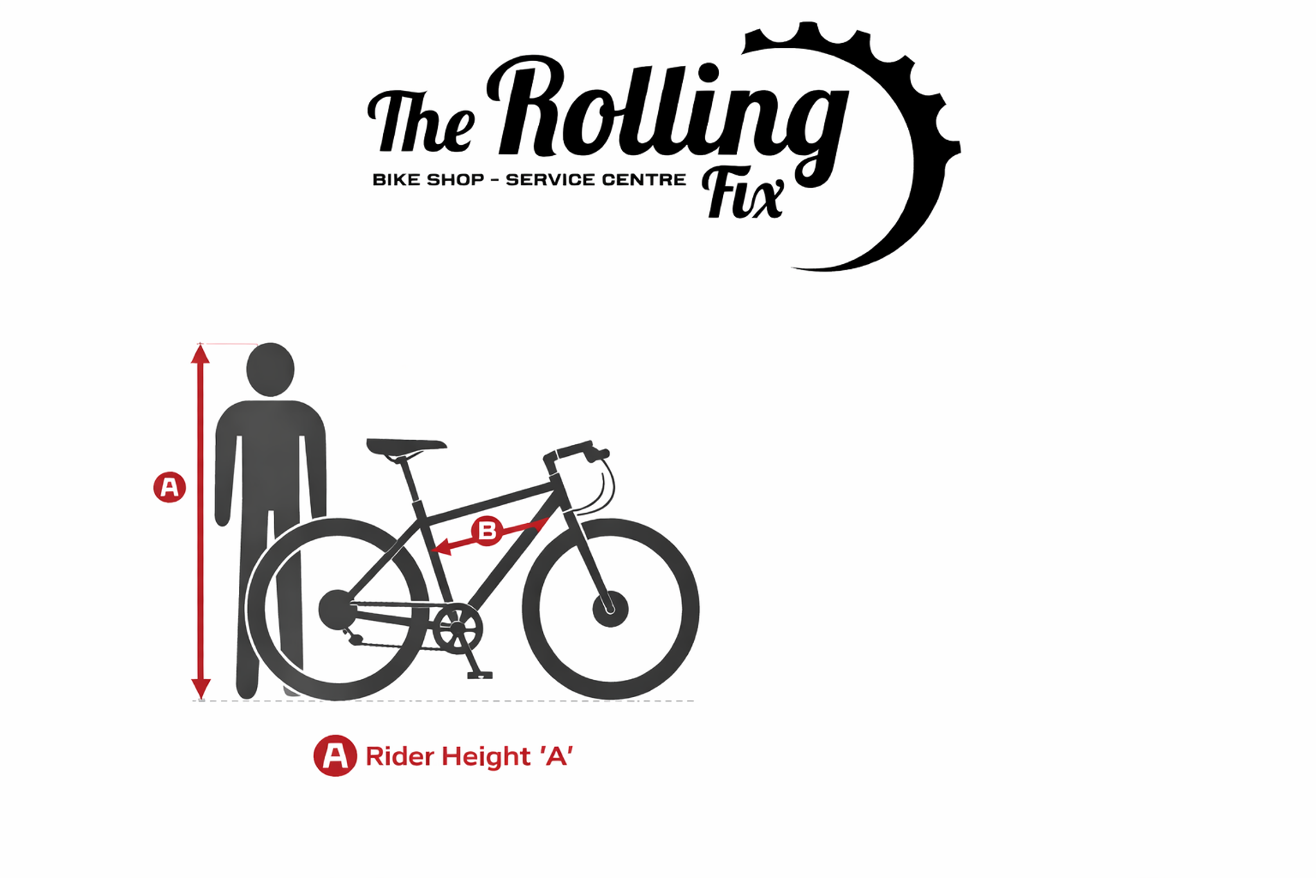 “Find Your Perfect Bike Size – Road, Mountain, Hybrid & Kids”
