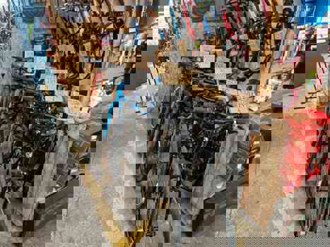 Genesis, Kona and Ridgeback