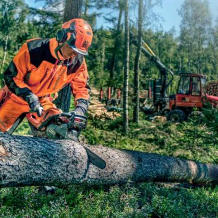 Forestry