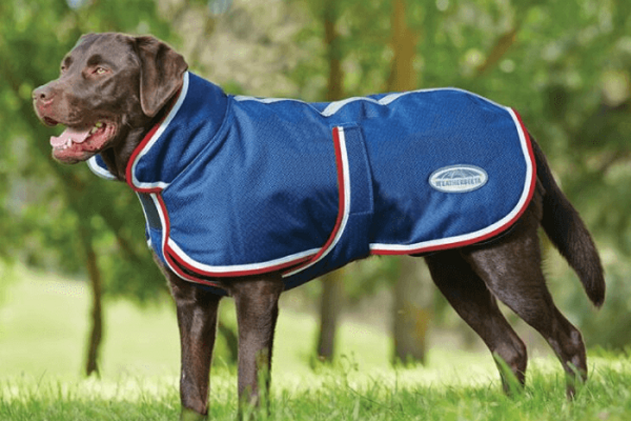 Streamline Operations.