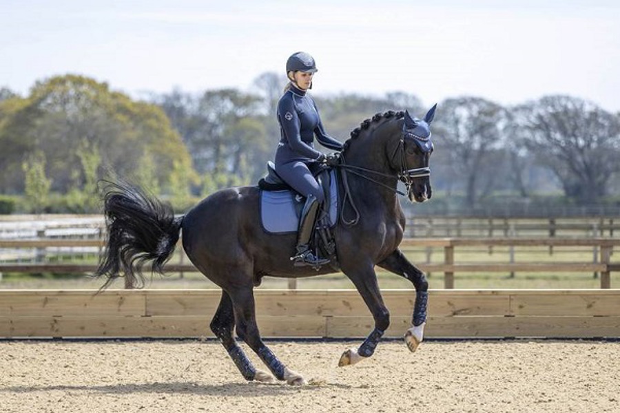 Integrated Supplier Feeds.