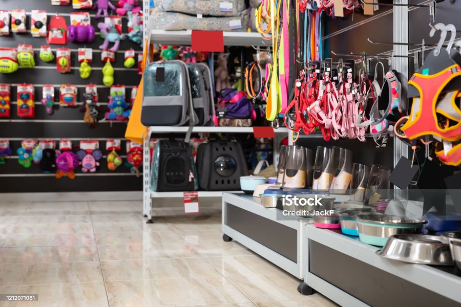 Toys for your furry friend