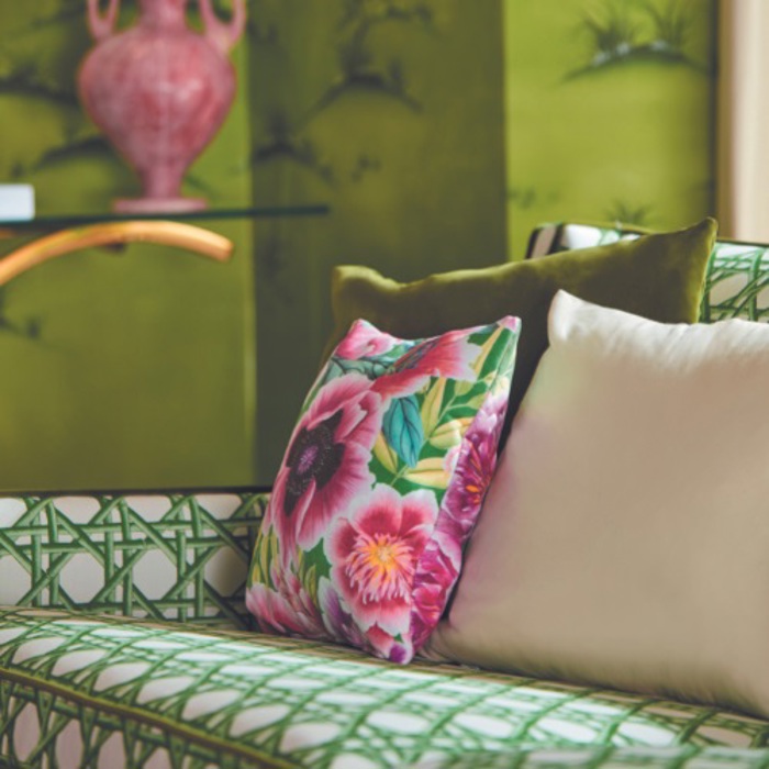 Cushions and Accessories