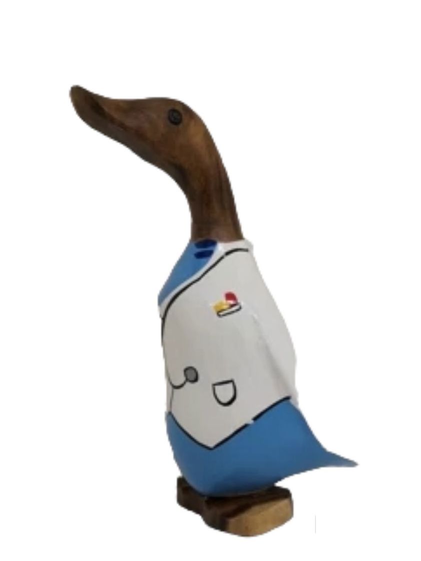 Wooden Doctor Duck