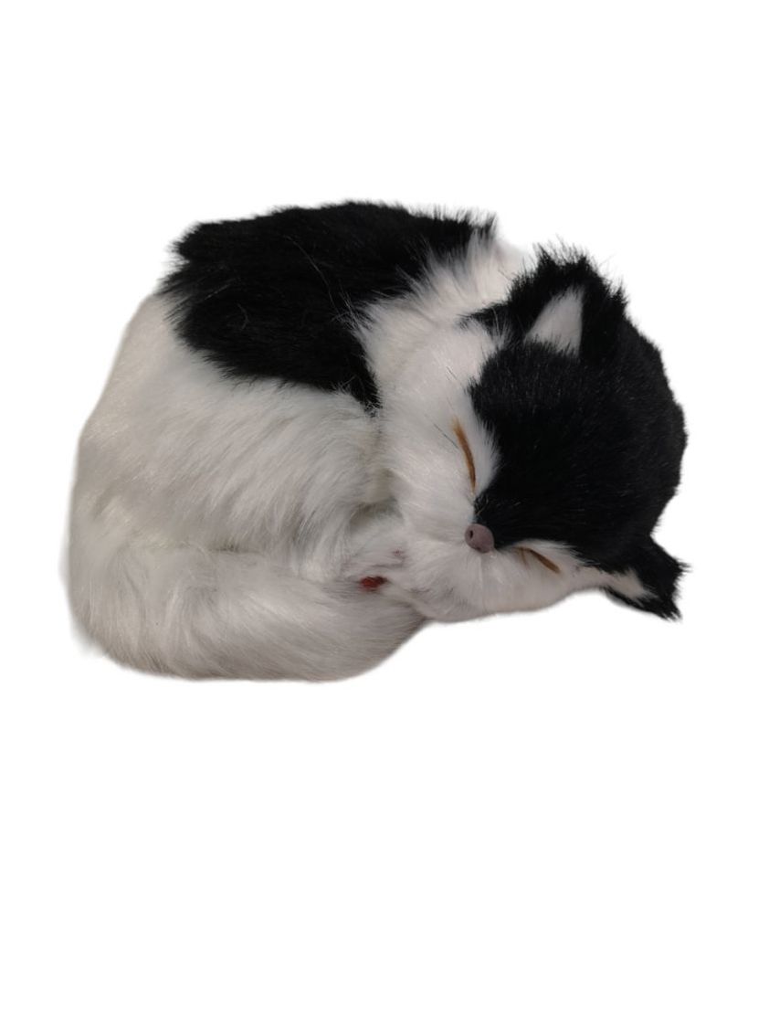 Black and white 17cm Lying Curled Up Baby Kitten
