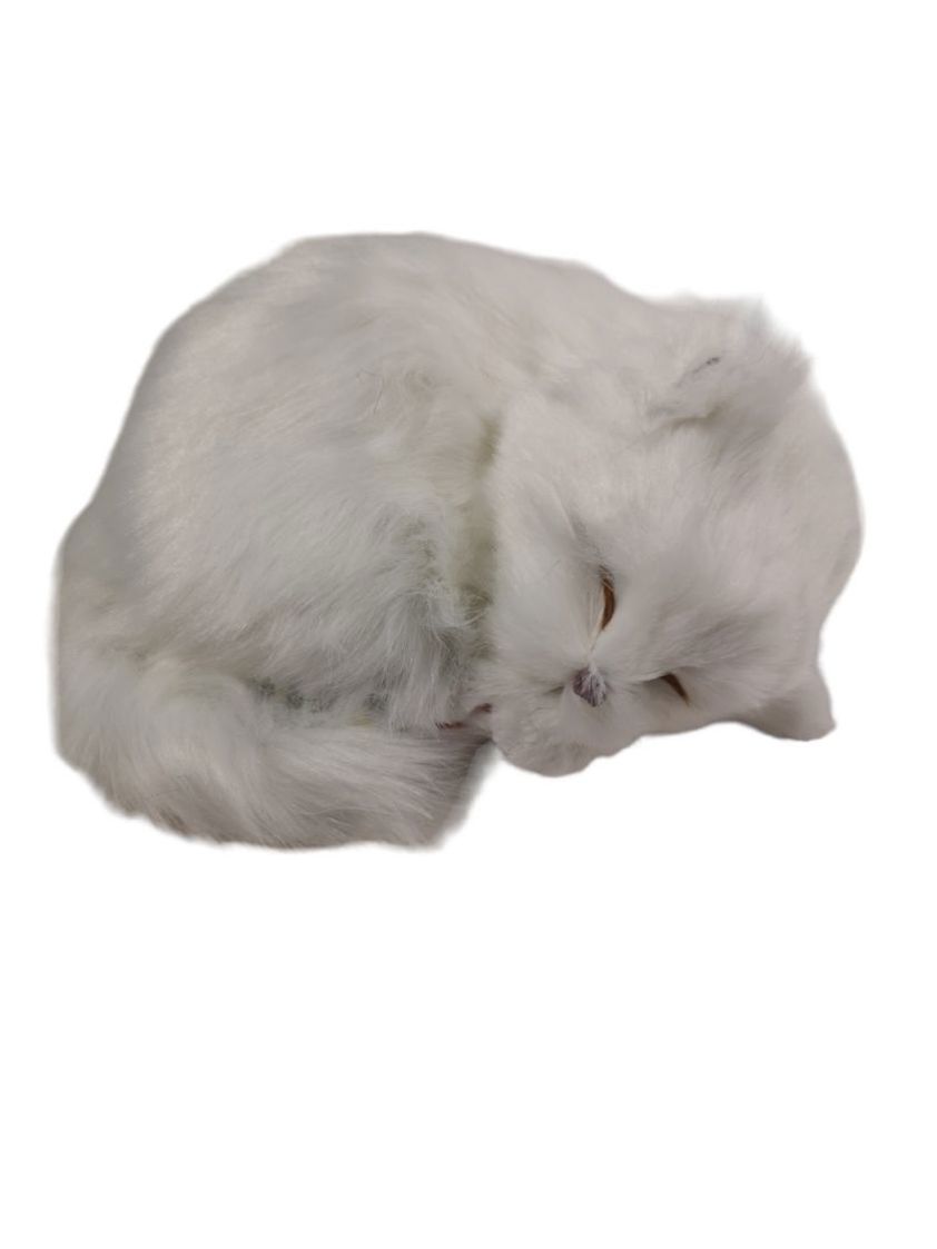 White 17cm Lying Curled Up Baby Kitten