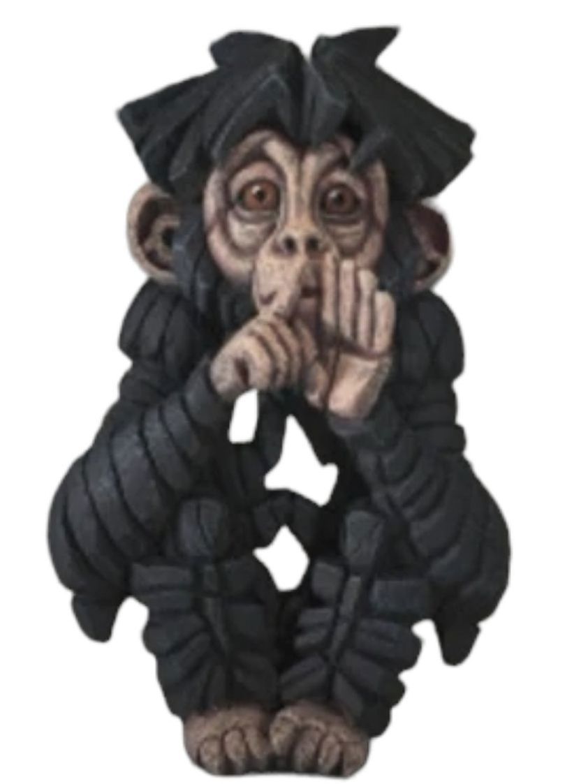 Baby Chimpanzee - Speak No Evil