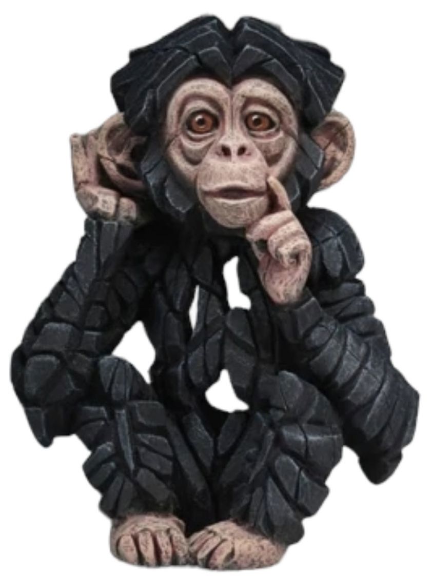 Baby Chimpanzee ' Hear No Evil'