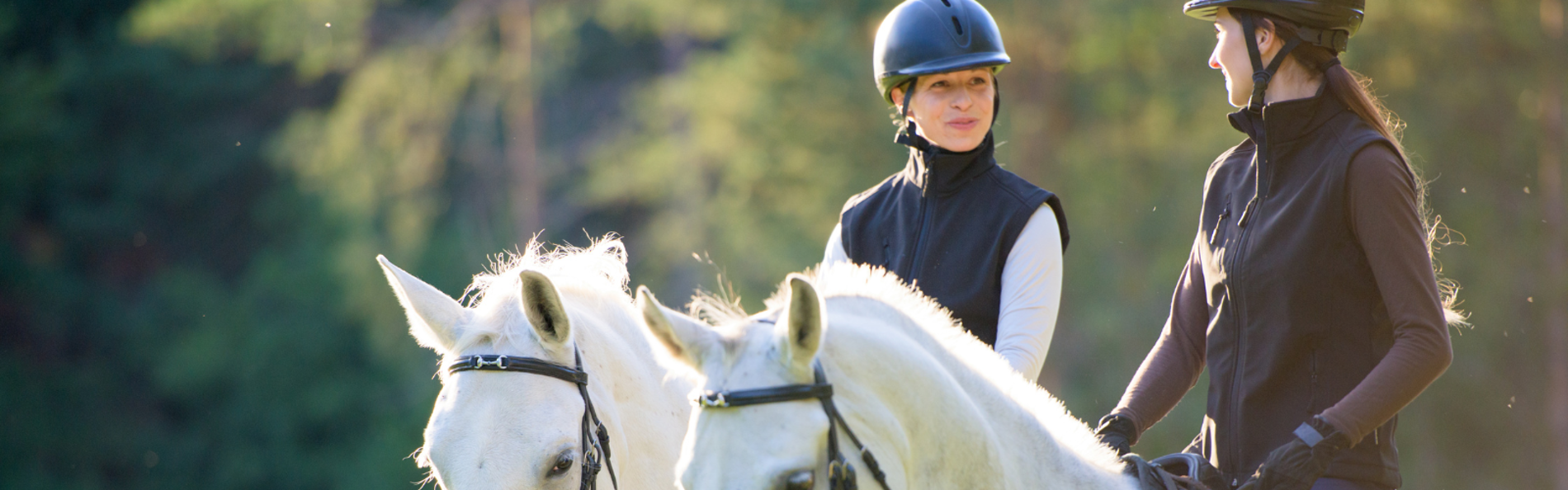 7 Surprising Health Benefits of Horse Riding Saledock.Ecommerce.Core.Models.ImageDTO