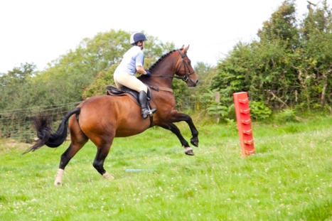 Horse riding is a cardiovascular workout away from the gym! Horse riding is a cardiovascular workout away from the gym!
