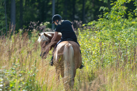 Riding horses gives you an incredible connection with another being. Riding horses gives you an incredible connection with another being.
