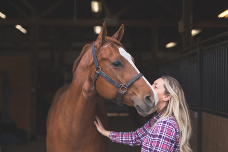 Horses give us an emotional connection like no other! Horses give us an emotional connection like no other!