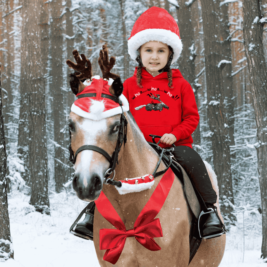 Christmas Accessories