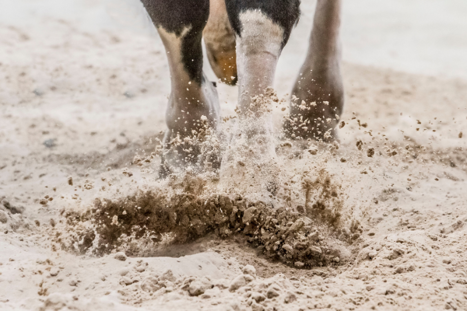 Check surface conditions along your beach ride on foot before getting into the saddle Check surface conditions along your beach ride on foot before getting into the saddle