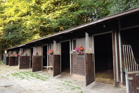 Wooden stables can be hotter than outside, so make sure there is plenty of airflow. Wooden stables can be hotter than outside, so make sure there is plenty of airflow.