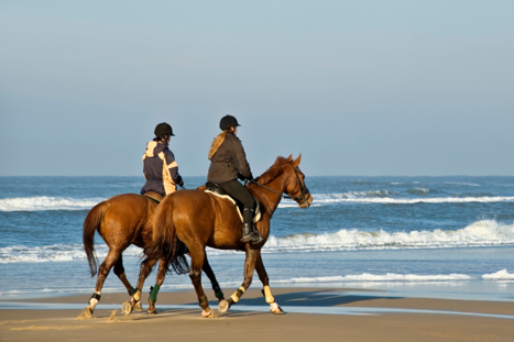 If access is allowed, beach rides in good weather any time of the year can be fun! If access is allowed, beach rides in good weather any time of the year can be fun!