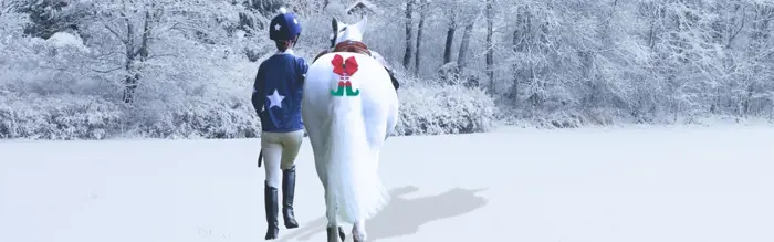 Christmas Horse Accessories You'll Love Christmas Horse Accessories You'll Love