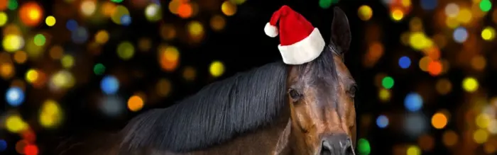 10 Adorable Christmas Horse Videos You'll Want To Watch 10 Adorable Christmas Horse Videos You'll Want To Watch