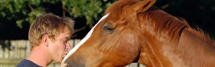 Horse Riding Tips For Safe Summer Riding Horse Riding Tips For Safe Summer Riding