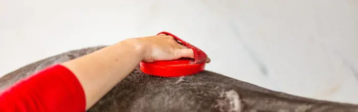 Super Groom Tips To Help Your Horse Shine Super Groom Tips To Help Your Horse Shine