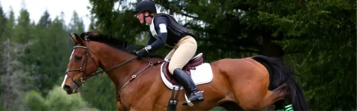 Eventing - What's Involved And How To Get In To It? Eventing - What's Involved And How To Get In To It?