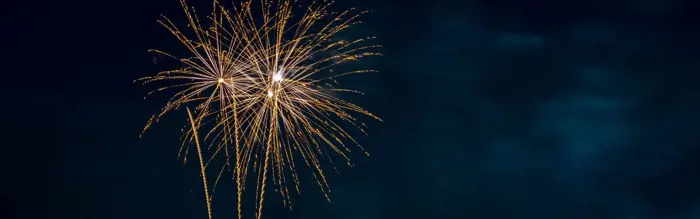 Fireworks, Livestock and Horses Fireworks, Livestock and Horses