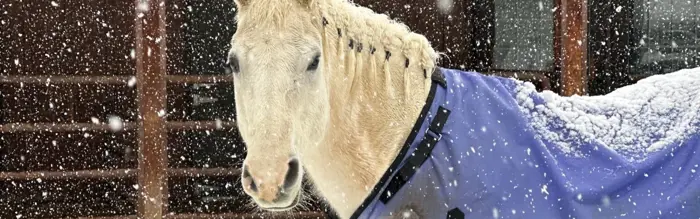 5 Ways To Beat The Clock This Winter! 5 Ways To Beat The Clock This Winter!