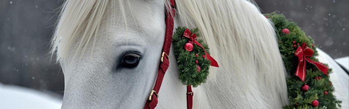 The Ultimate Equestrian Christmas Gift Guide 2025 | Equetech The Ultimate Equestrian Christmas Gift Guide 2025 | Equetech
