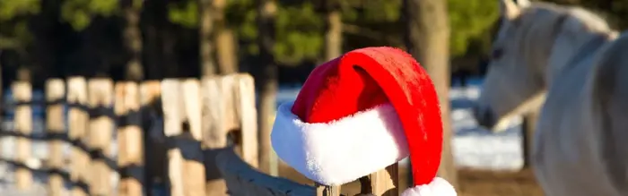 6 Things To Do With Your Horse This Christmas! 6 Things To Do With Your Horse This Christmas!