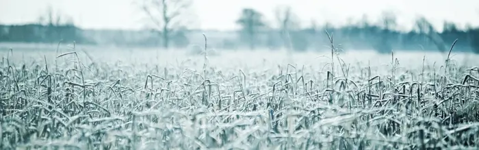 Making The Most Out Of Your Hacking This Winter! Making The Most Out Of Your Hacking This Winter!