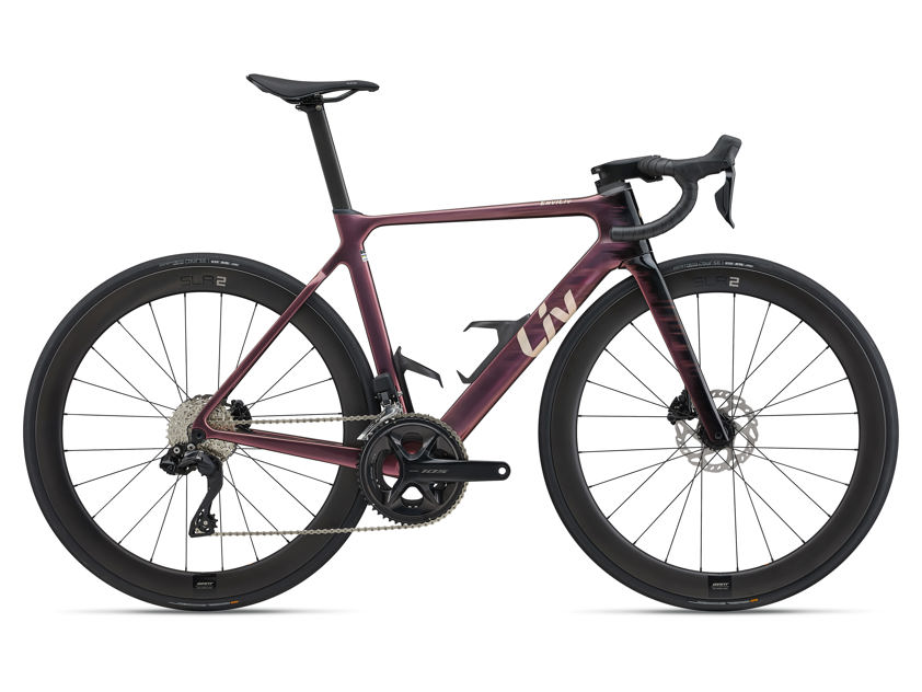 Mechanic Rose EnviLiv Advanced 1 (2025)