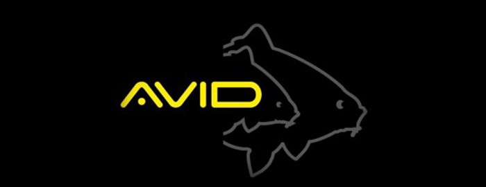 Avid Carp